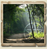 Elements of Wicca